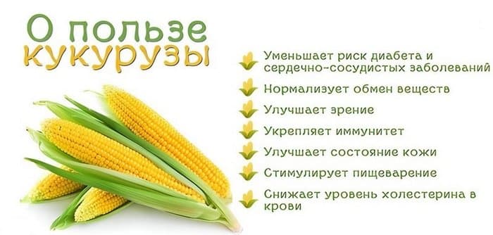 Лечебные свойства кукурузы.