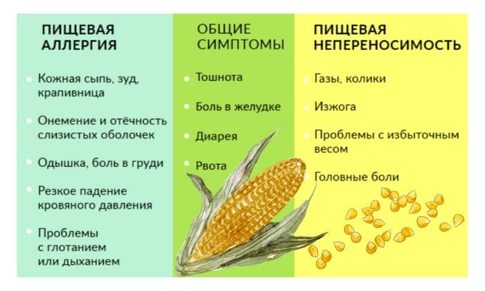 Основные признаки пищевой аллергии.