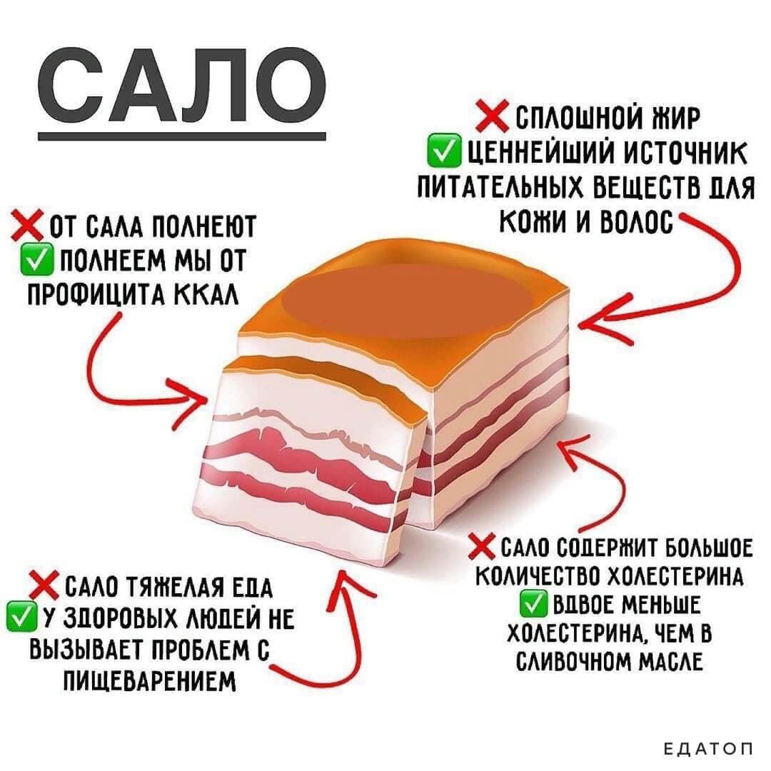 Польза сала при умеренном употреблении.