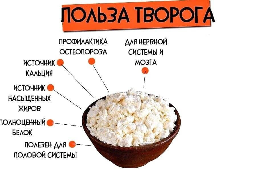 Польза творога для организма.