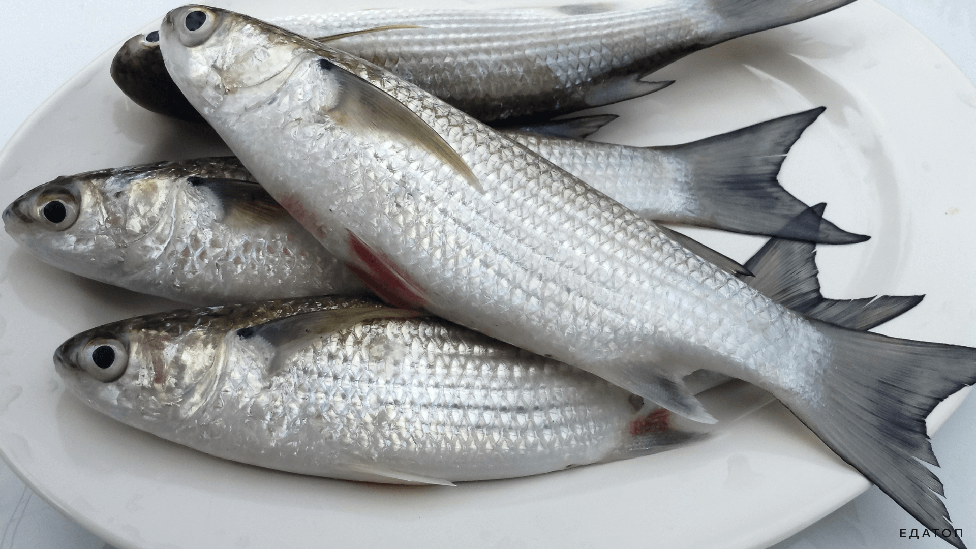 Некачественный продукт может нанести вред здоровью.