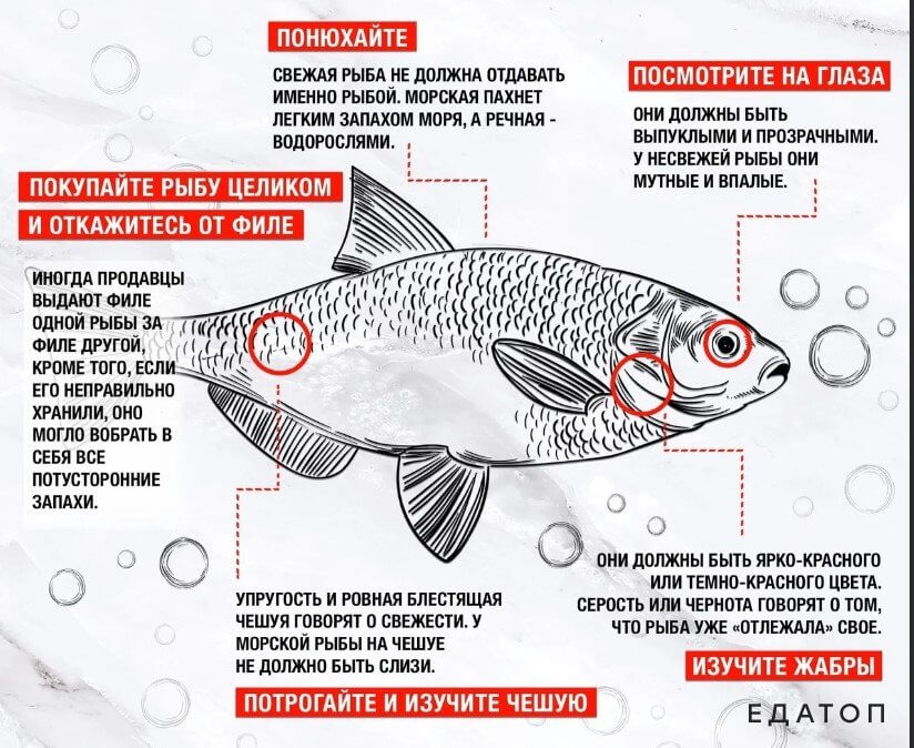 Правила выбора качественного продукта.