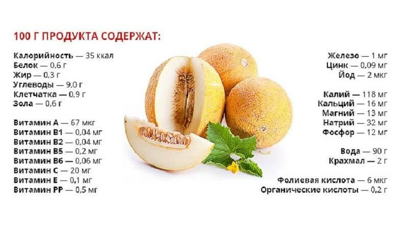 Полезный состав дыни.