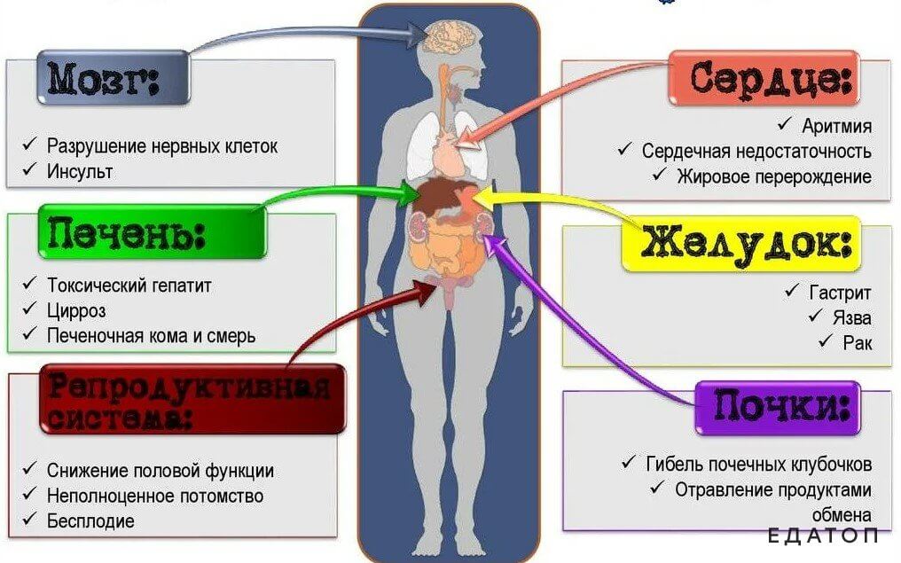 Вред водки для организма человека.