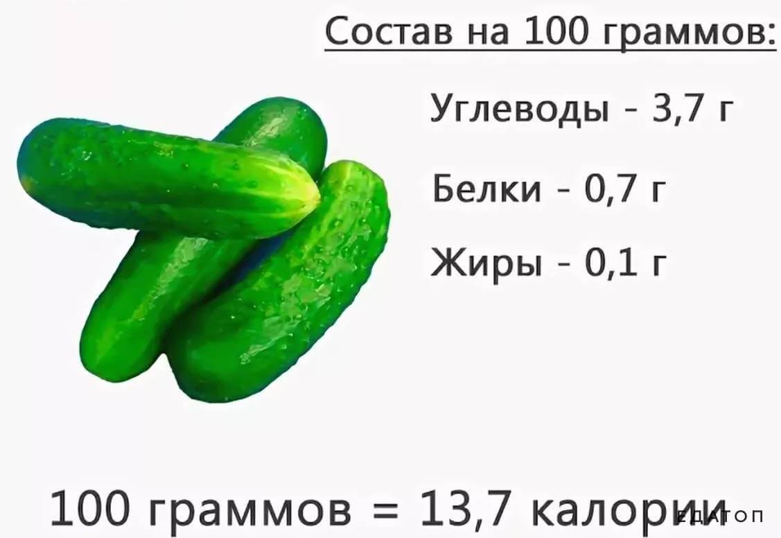 Огурец содержит до 15 калорий.