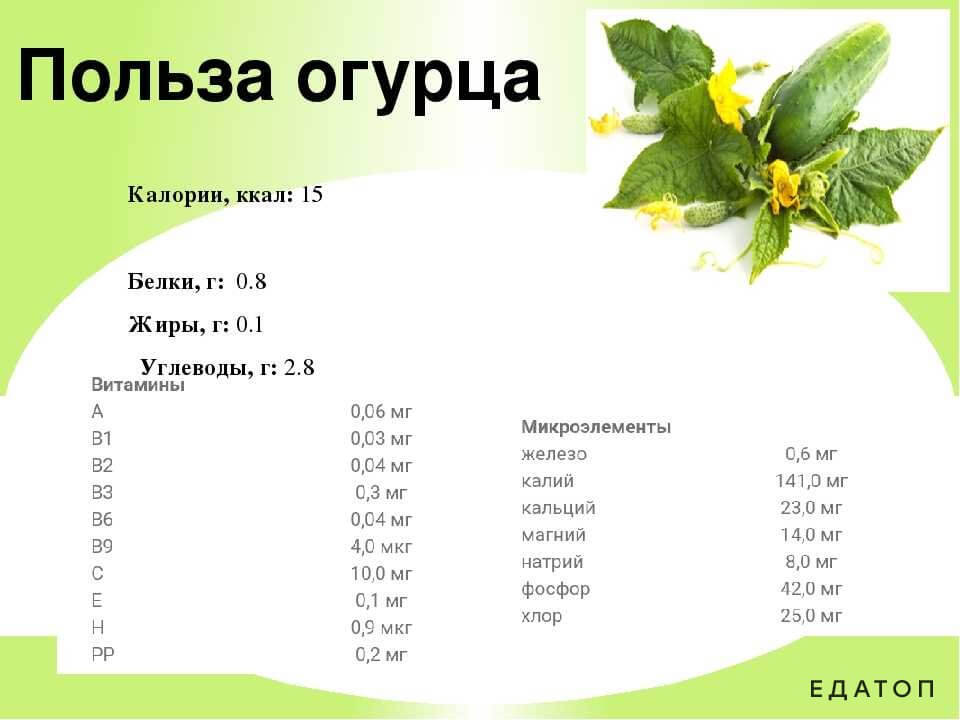 Много микроэлементов содержится в огурцах.