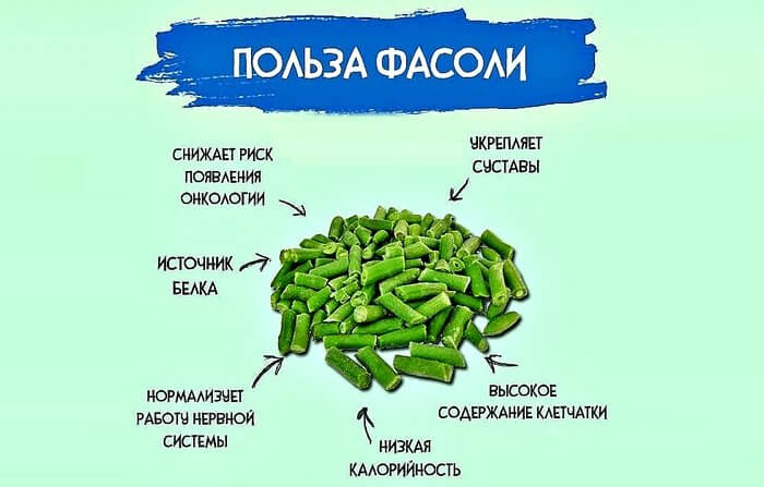 Польза фасоли для организма человека.