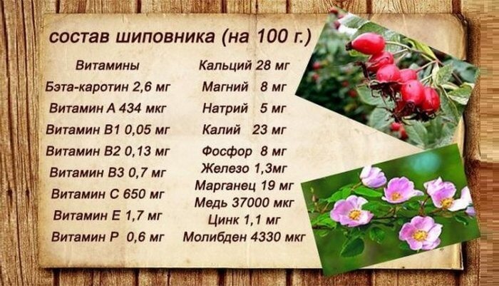 Витамины и минералы, входящие в состав плодов шиповника.
