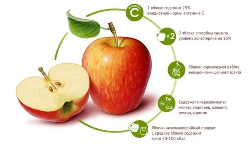 Яблоки оказывают благотворное влияние на здоровье человека.